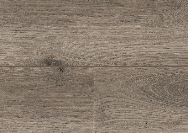 Royal Chestnut Grey